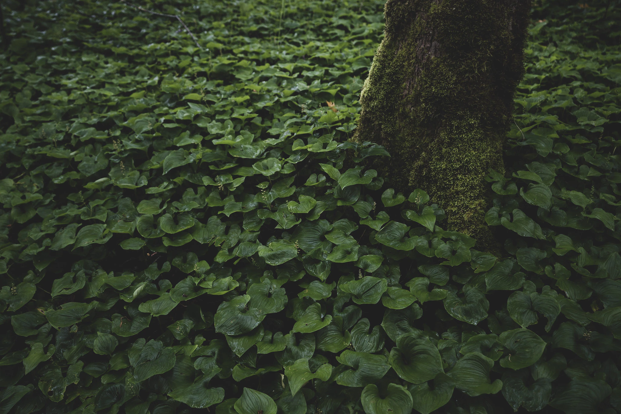 S21 - Gift Guide Header Mens