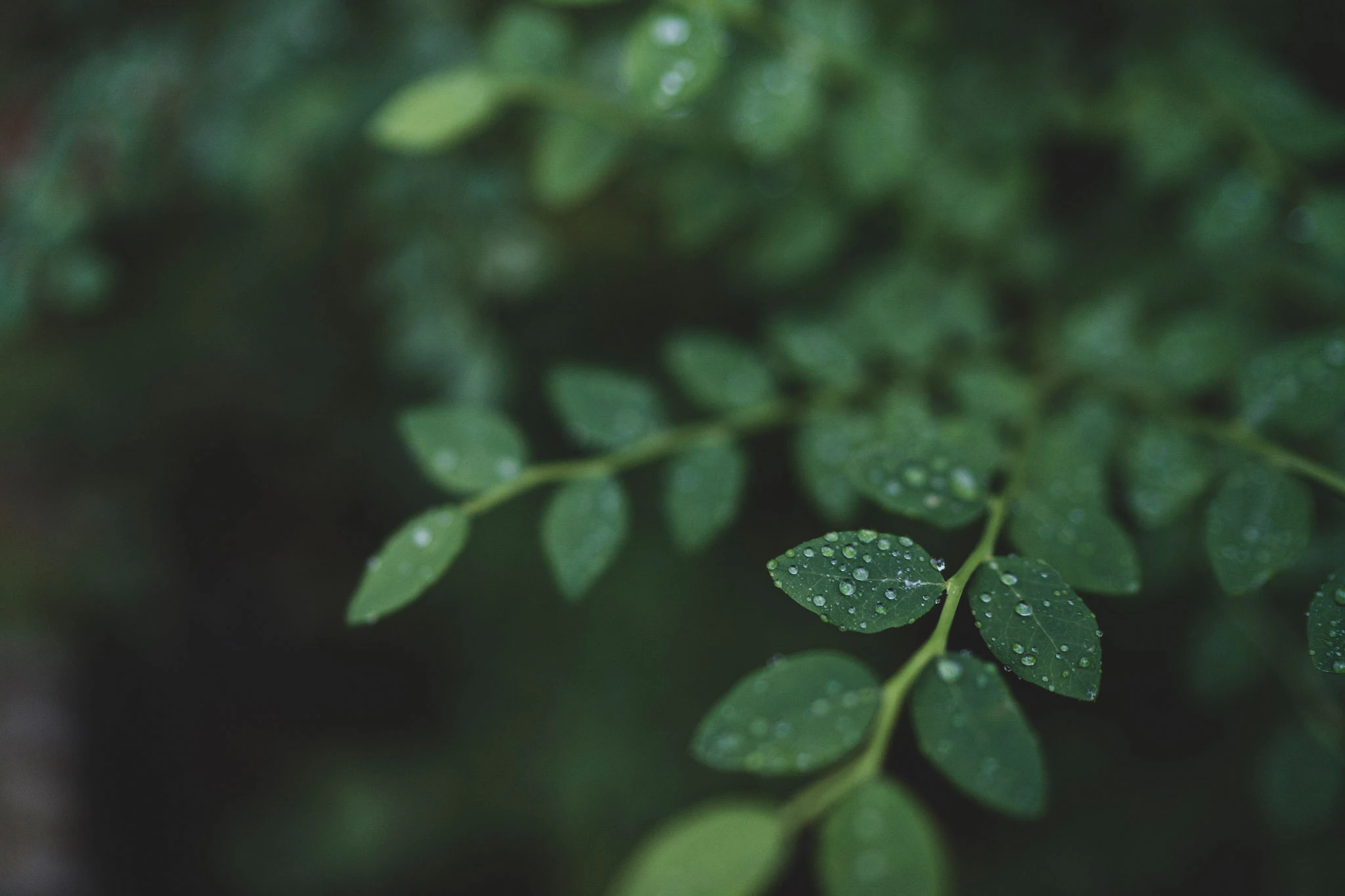 S21 - Gift Guide Header Womens