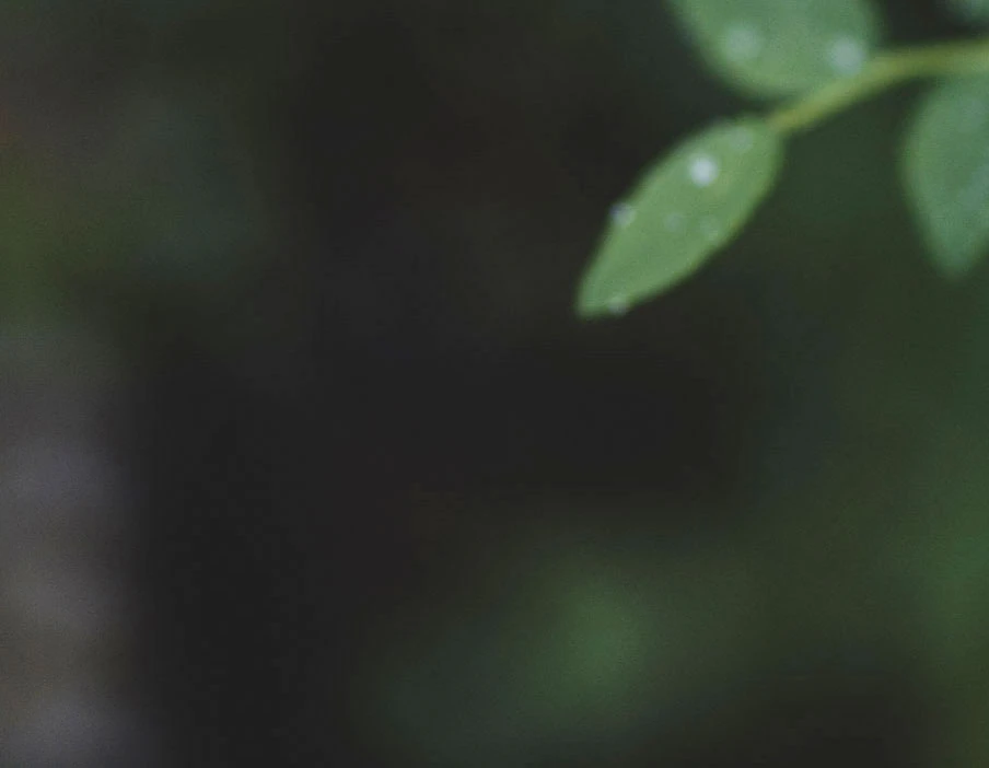 S21 - Gift Guide Virtual Advisor [Half Width]