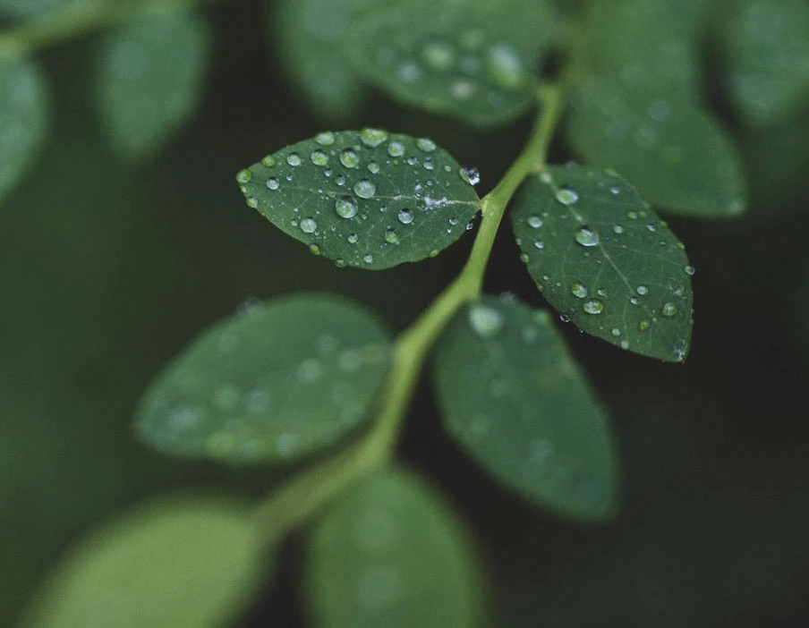 S21 - Gift Guide Gift Cards [Half Width]