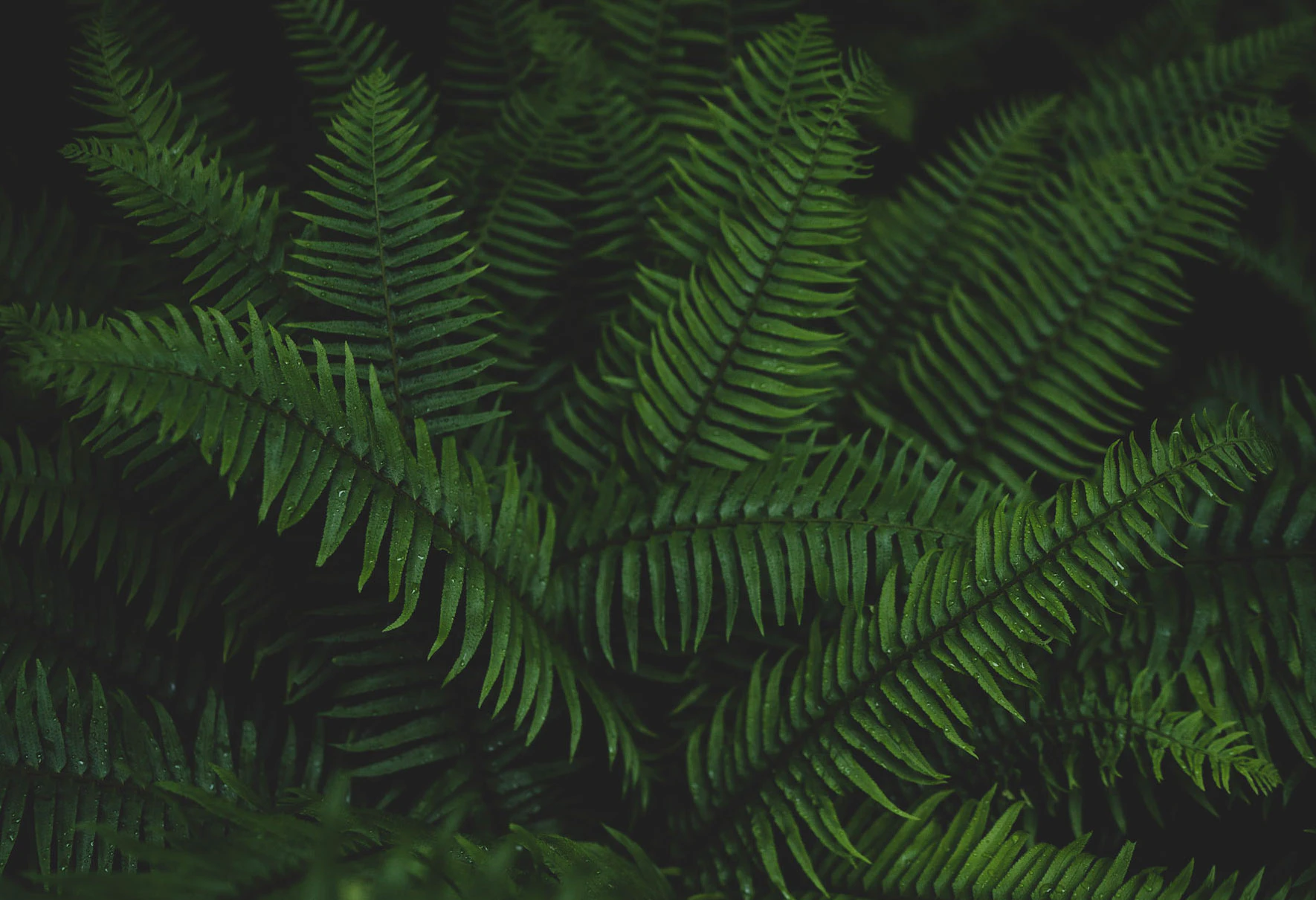 S21 - Gift Guide Banner Staff Picks Mens