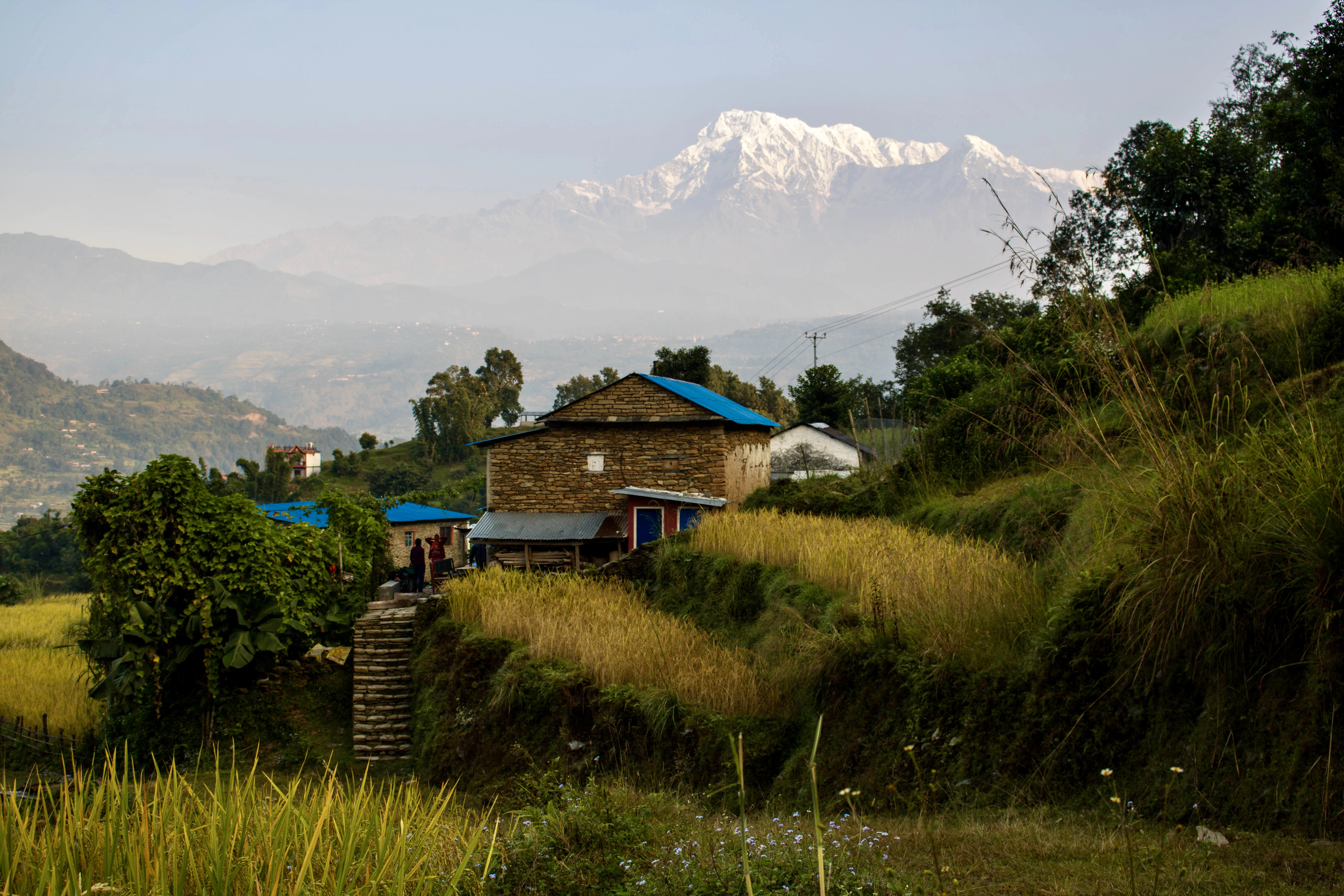 S21 - Durga: Forging a New Trail [Utility]