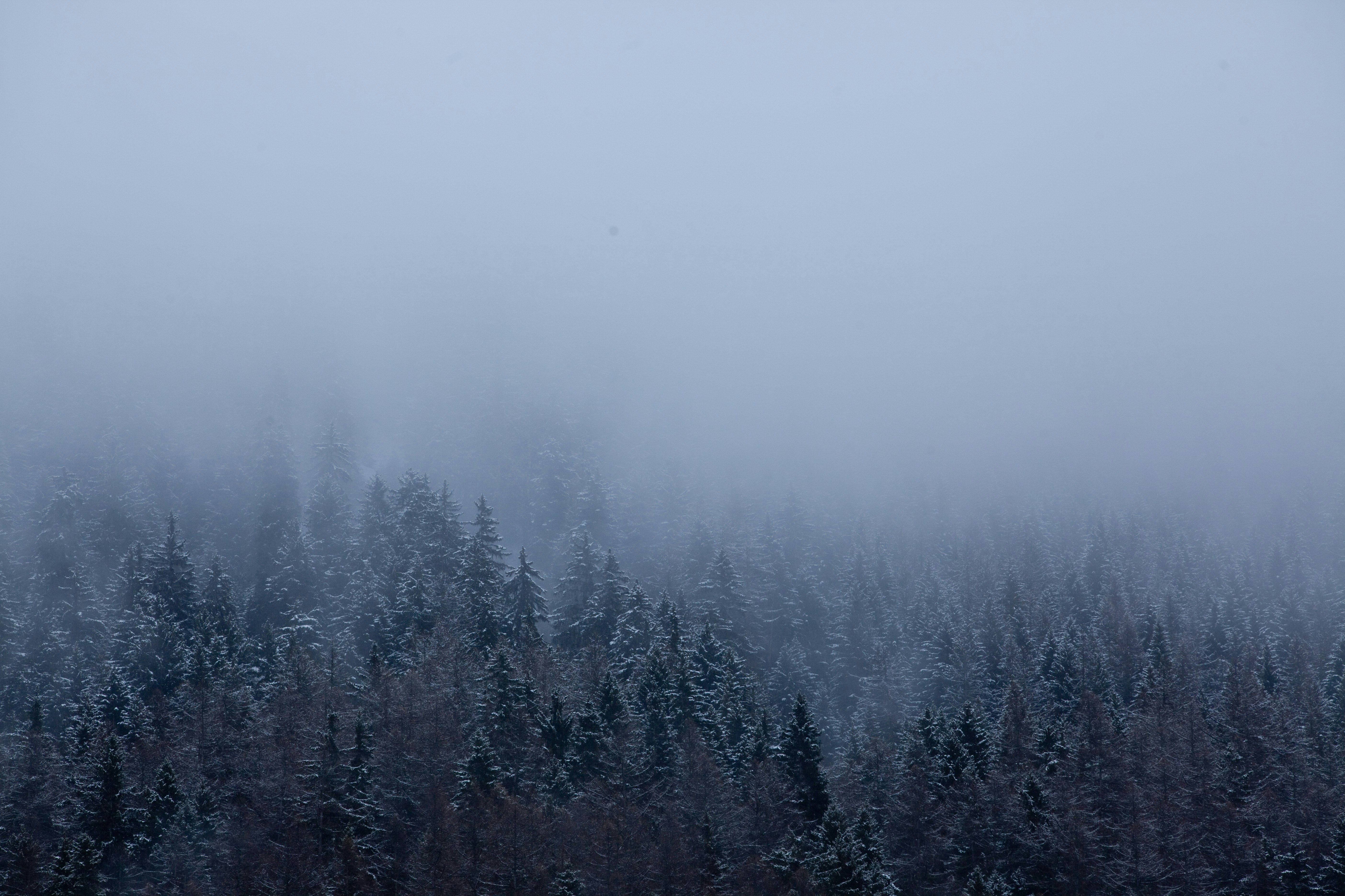 F20 - Gift Guide Holiday Mens Header